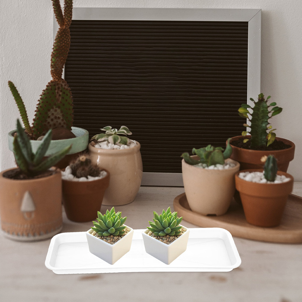 Drip Tray Saucer - 5 pezzi di vassoi rettangolari poco