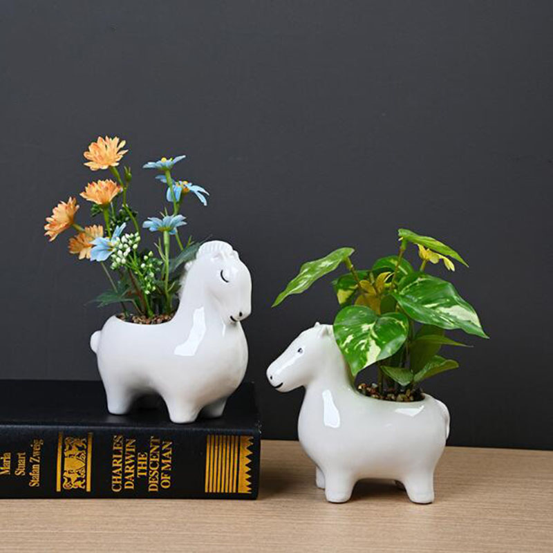 Vaso Creativo in Porcellana Bi - Bonsai Garden Art recensione e prezzo