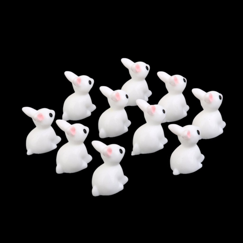 10 pezzi di squisiti mini coni - Bonsai Garden Landscape Design recensione e prezzo